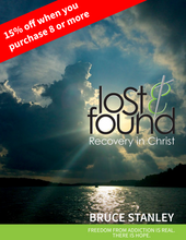 Load image into Gallery viewer, Lost &amp; Found Workbook
